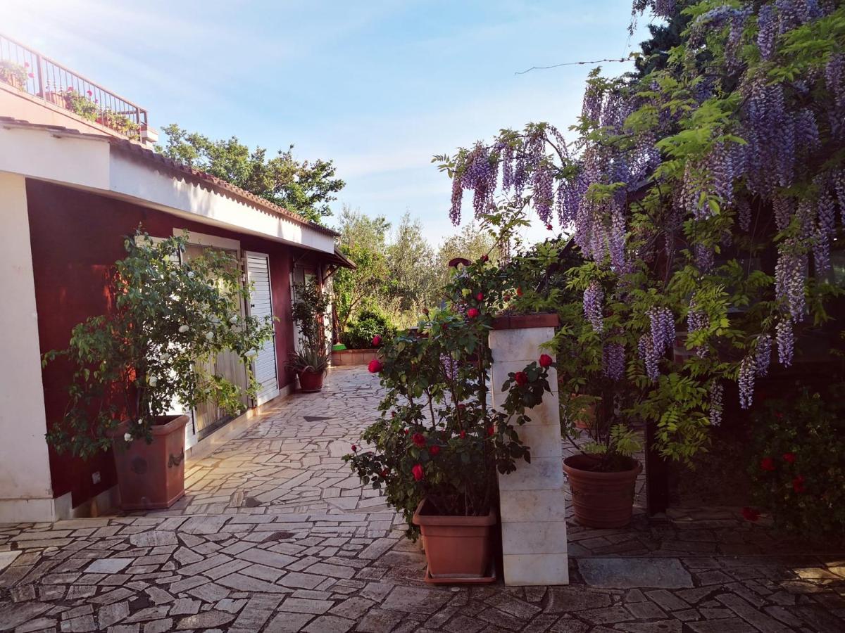 B&B Villa Lena Turi Eksteriør billede